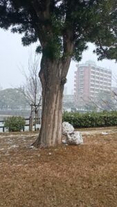 木の下の雪だるま2